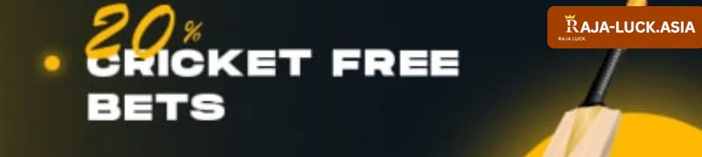 Promotional banners and offers at RAJA LUCK casino